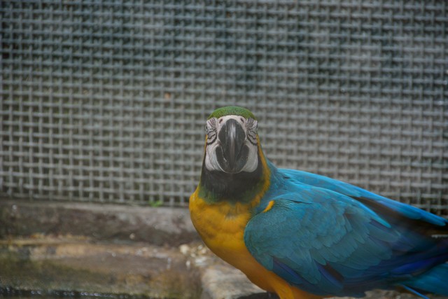 20150326 - Rome - 244